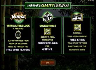 Untamed giant panda