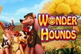 Wonder hounds