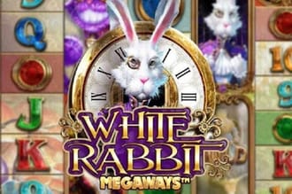 White rabbit